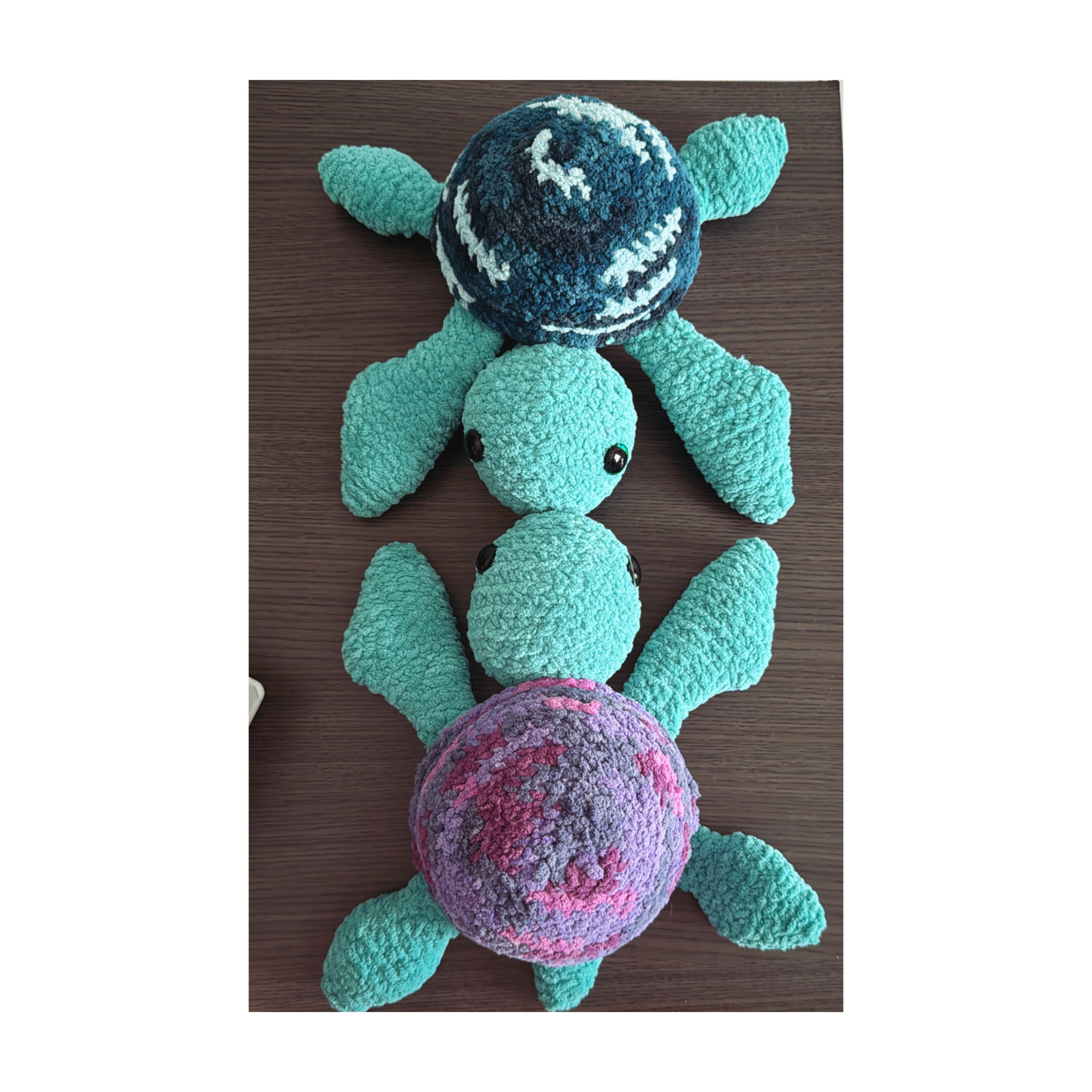 Sea Turtle